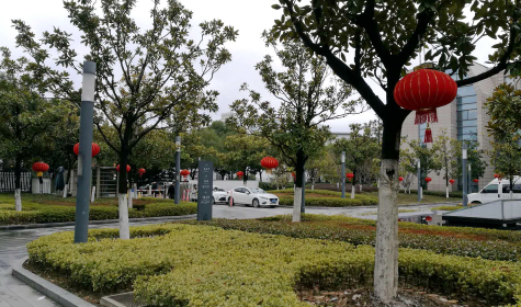 掛燈籠，貼春聯(lián)  蘇化科技園內(nèi)年味濃