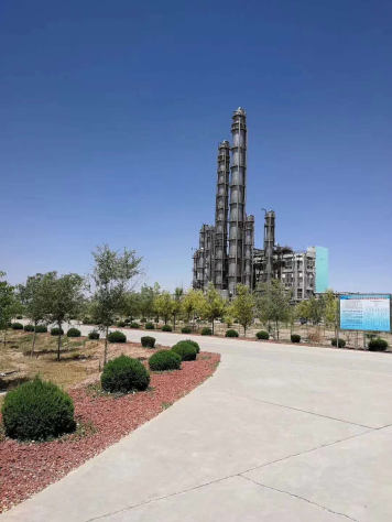 用實(shí)干推動“四真”工作要求的落地生根