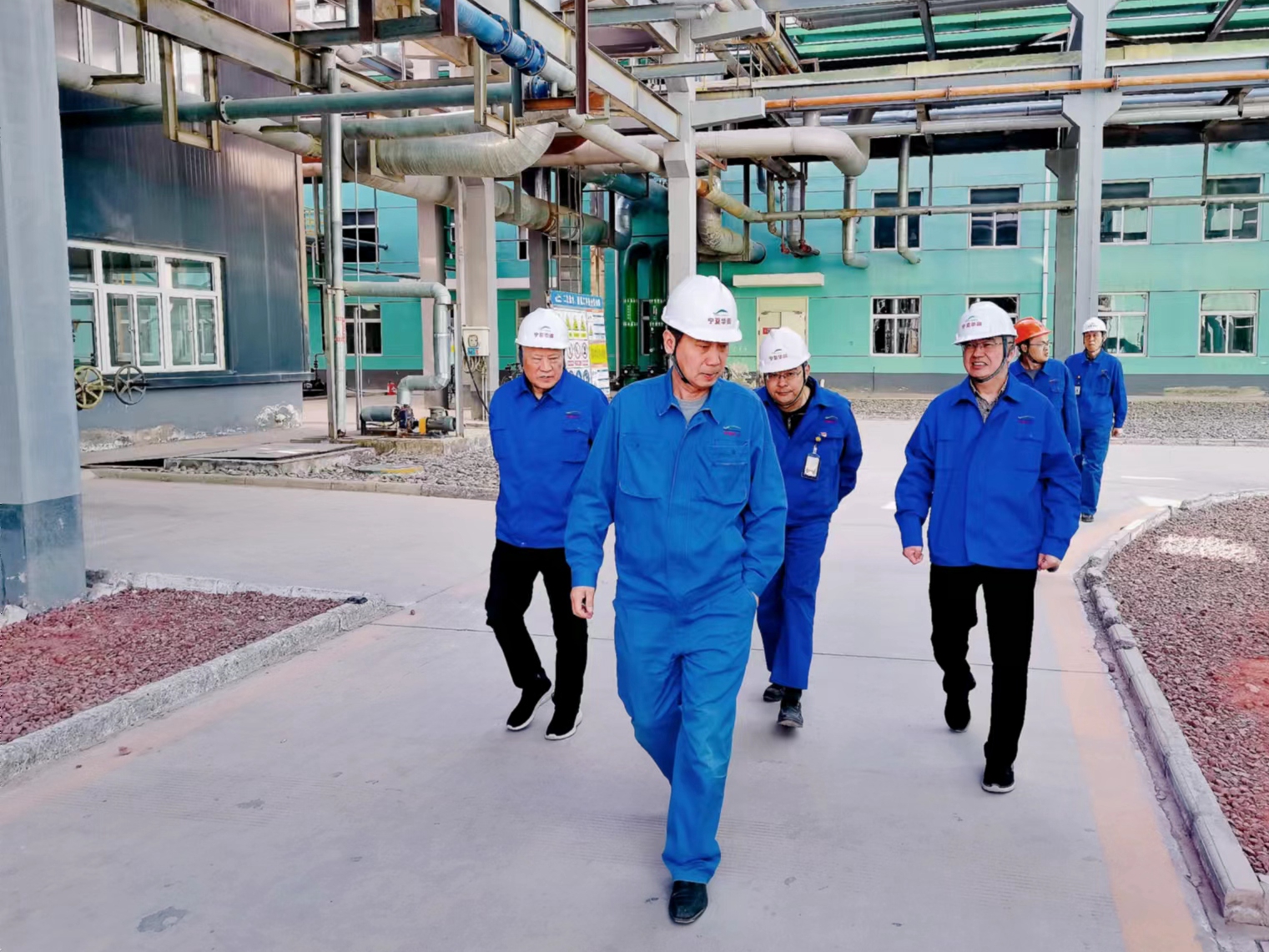 1711947474577794.jpg 725638c5eb2a85324835cd5e7238937.jpg