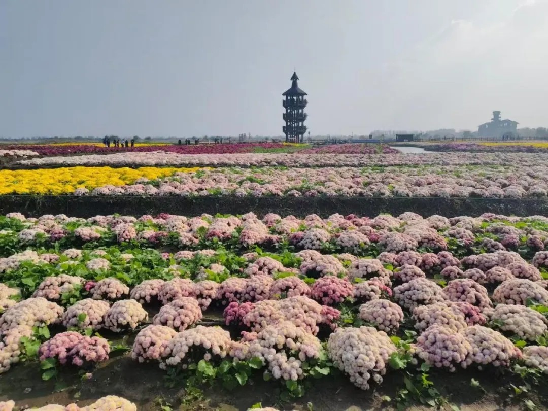 1733189812208970.jpg 640 (1).jpg