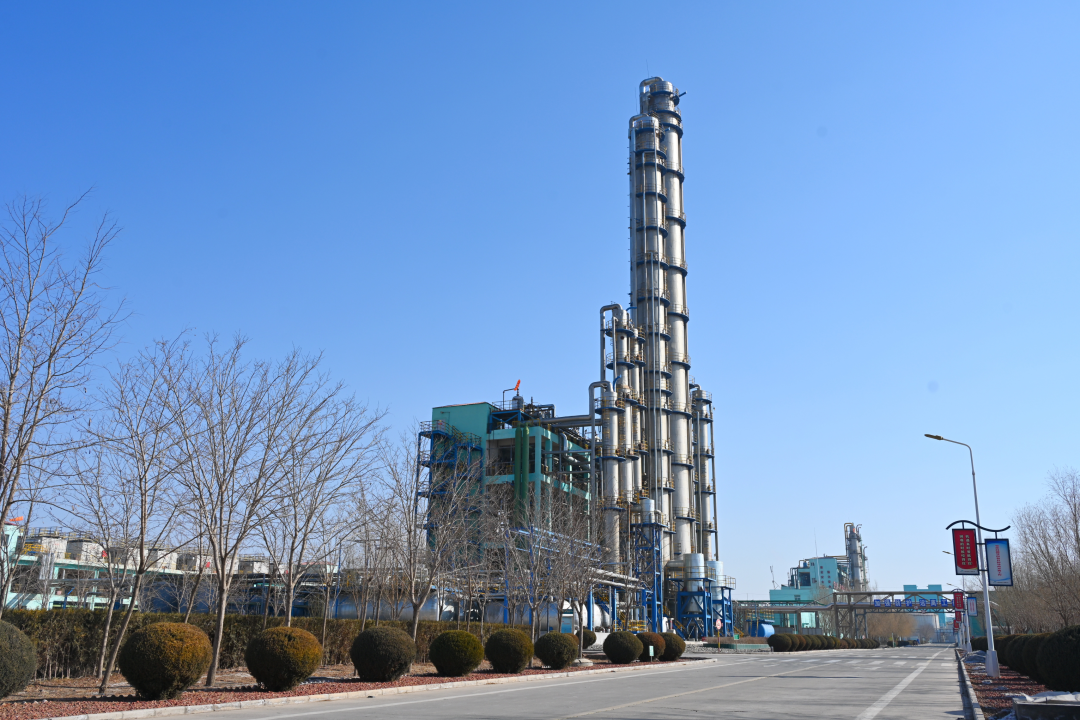 1740981778375169.png 640.png